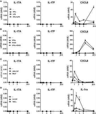 A Reappraisal on the Potential Ability of Human Neutrophils to Express and Produce IL-17 Family Members In Vitro: Failure to Reproducibly Detect It